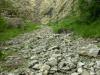 Eboulis médio-européens calcaires des étages collinéen à montagnard