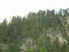 Forêts montagnardes et subalpines à Pinus uncinata